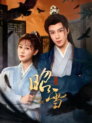 《昭雪》剧集信息汇总：2026年国产剧全20集